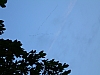 DSCN5797.jpg