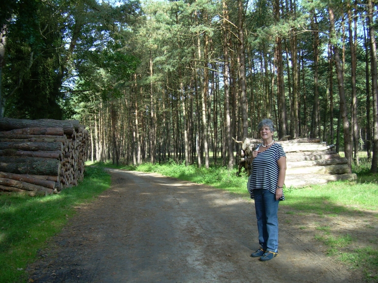 DSCN5872.jpg
