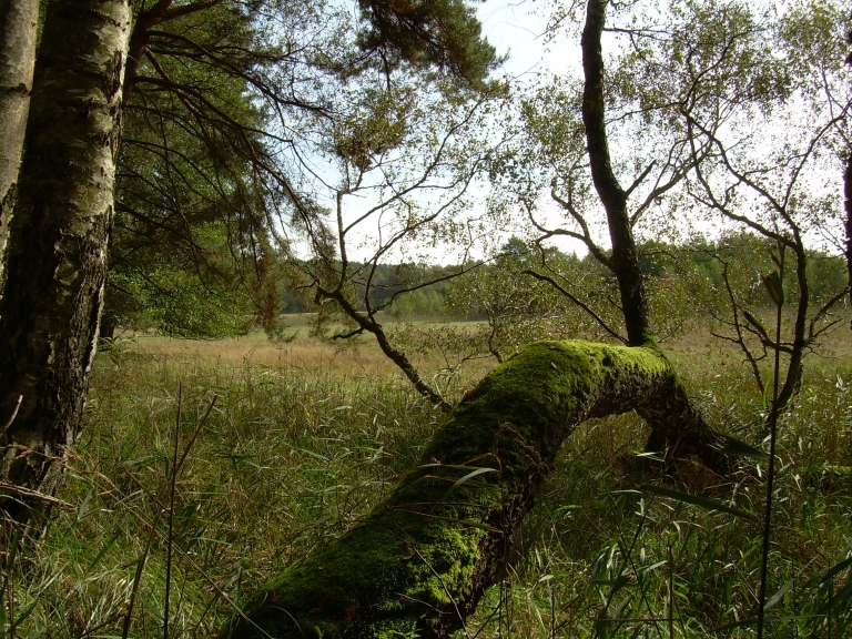 DSCN5875.jpg