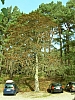 DSCN5871r.jpg