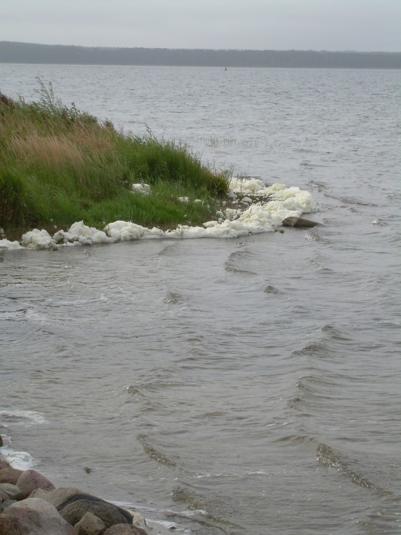 DSCN6796r.jpg