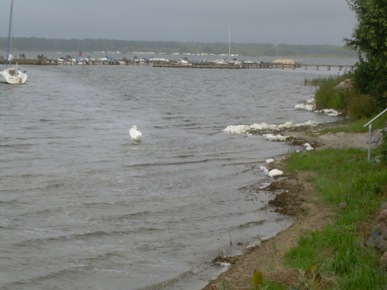 DSCN6797.jpg