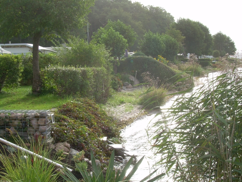 DSCN6799.jpg