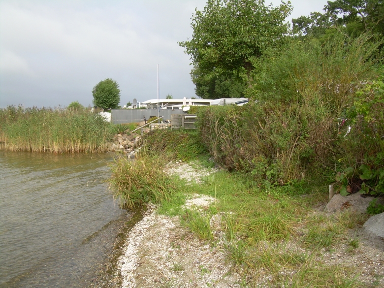 DSCN6801.jpg