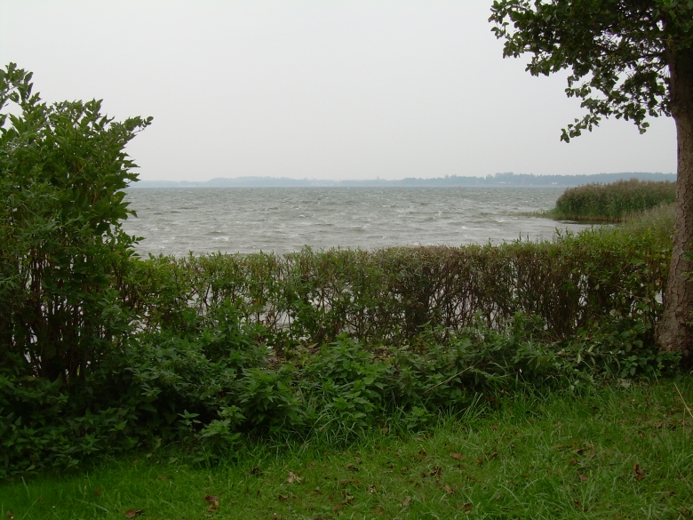 DSCN6807.jpg